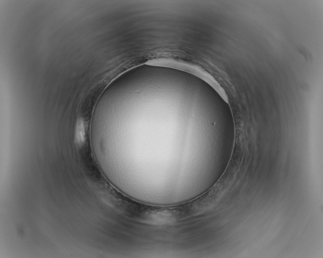 X0000113370075200909291100