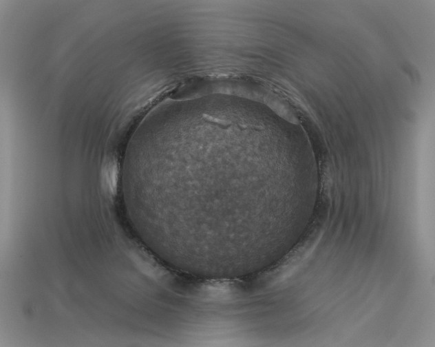 X0000113370076200909291100