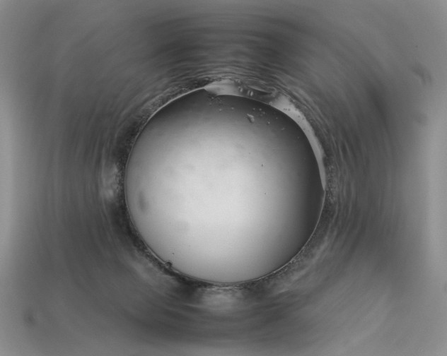 X0000113370077200909291100