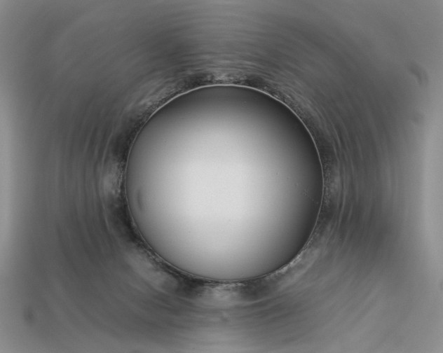 X0000113370078200909291100