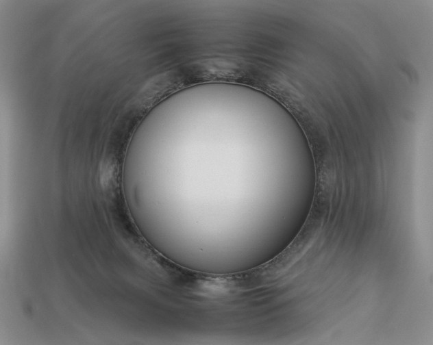 X0000113370079200909291100