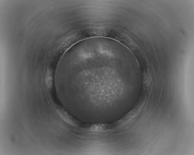 X0000113370080200909291100