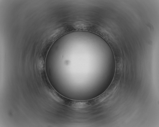 X0000113370081200909291100