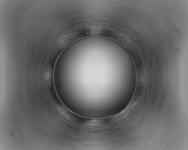 X0000113370082200909291100