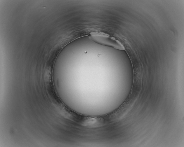 X0000113370083200909291100