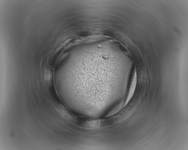 X0000113370084200909291100