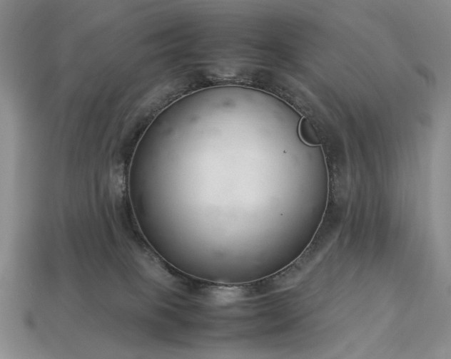 X0000113370085200909291100