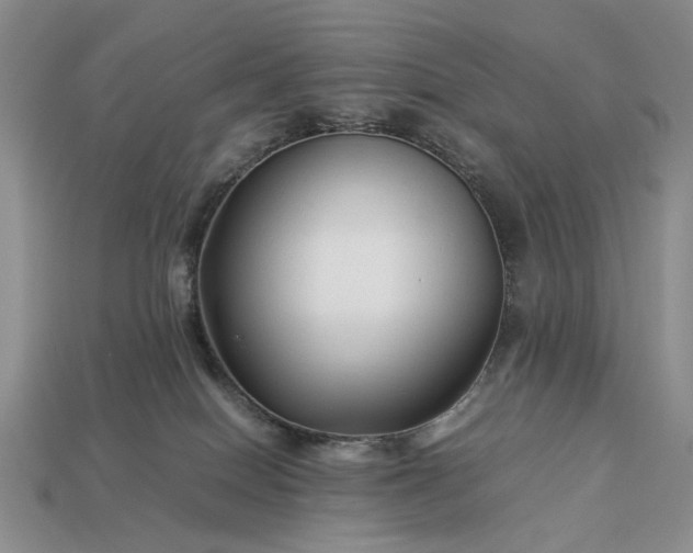 X0000113370086200909291100