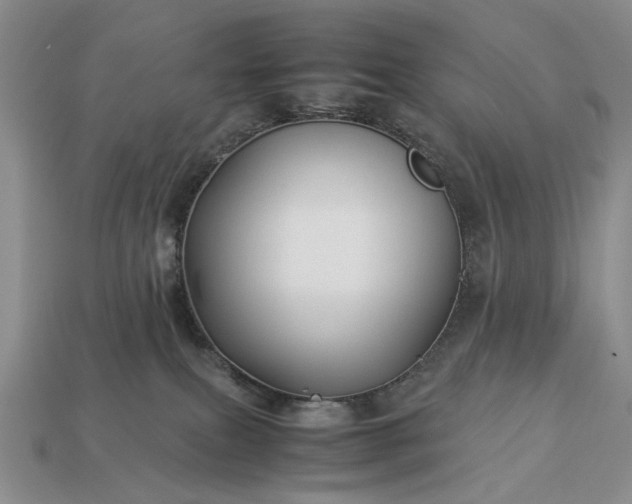 X0000113370087200909291100