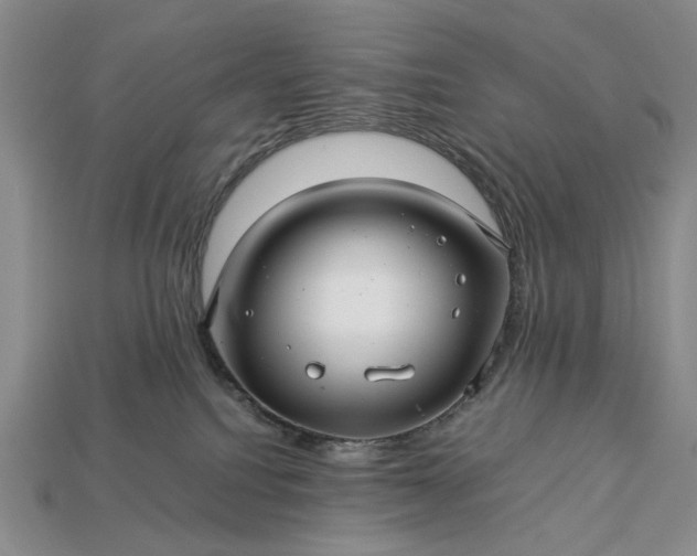 X0000113370088200909291100