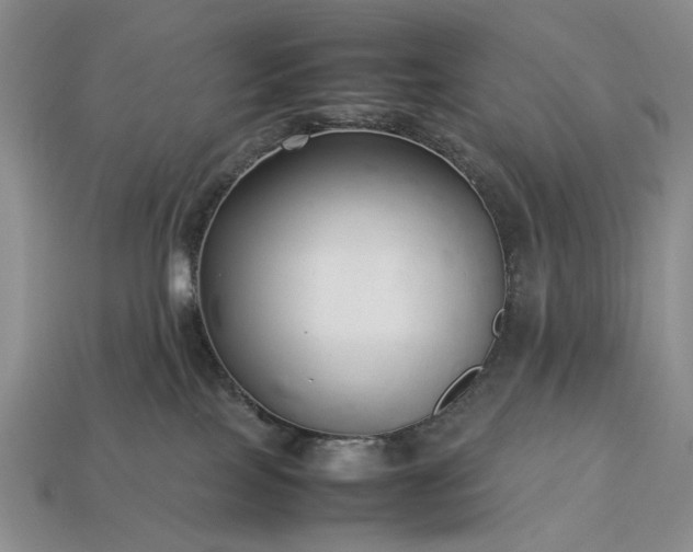 X0000113370089200909291100