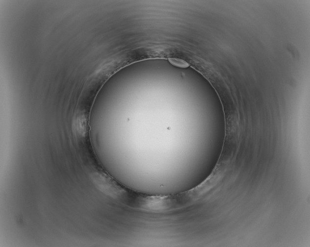 X0000113370090200909291100