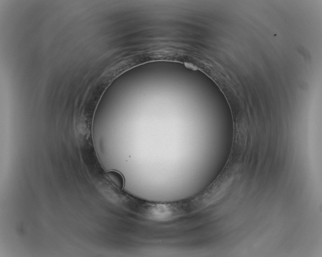 X0000113370091200909291100