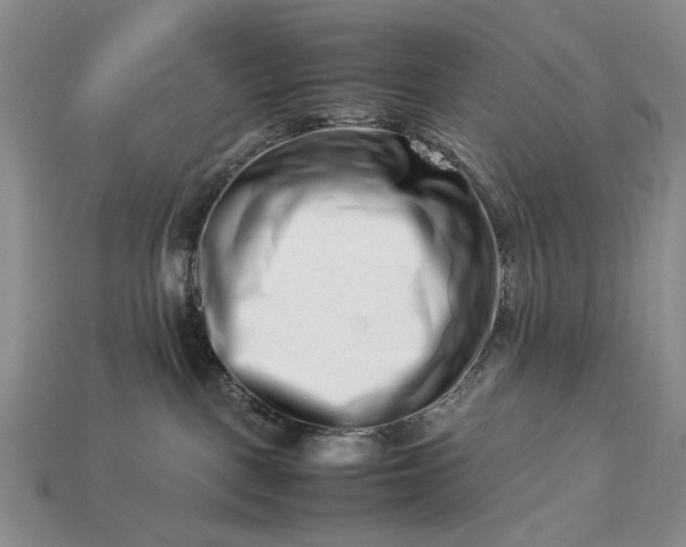 X0000113370093200909291100