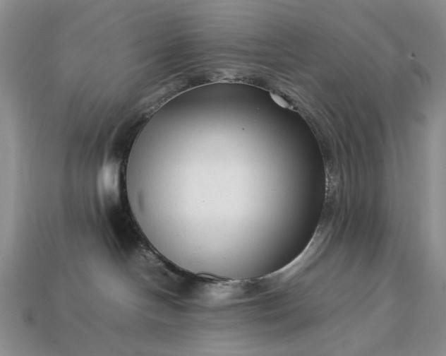 X0000113370094200909291100