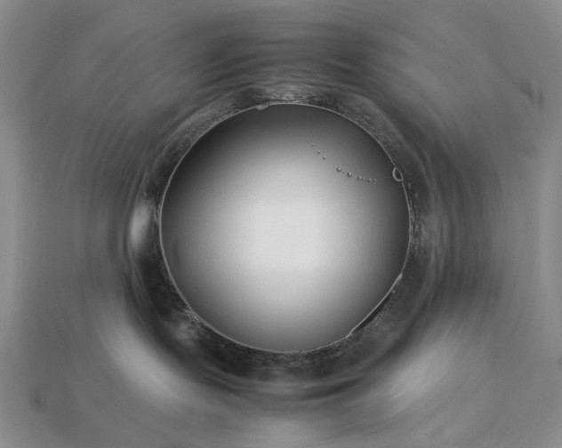 X0000113370095200909291100