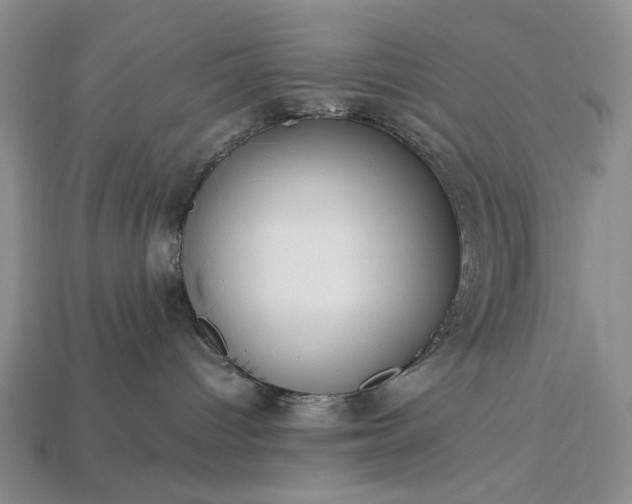 X0000113370096200909291100