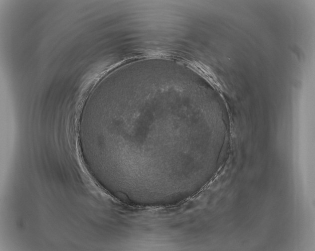 X0000113370097200909291059