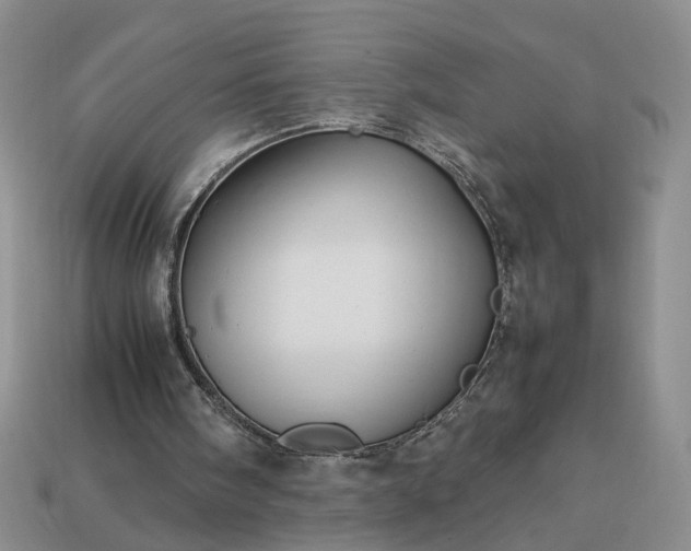 X0000113370098200909291059