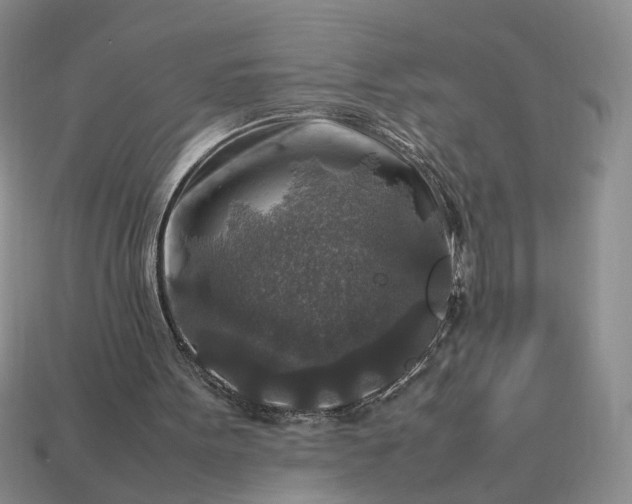 X0000113370099200909291059