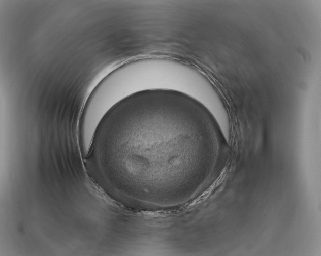 X0000113370100200909291059