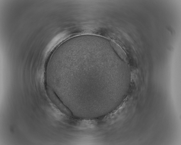 X0000113370101200909291059