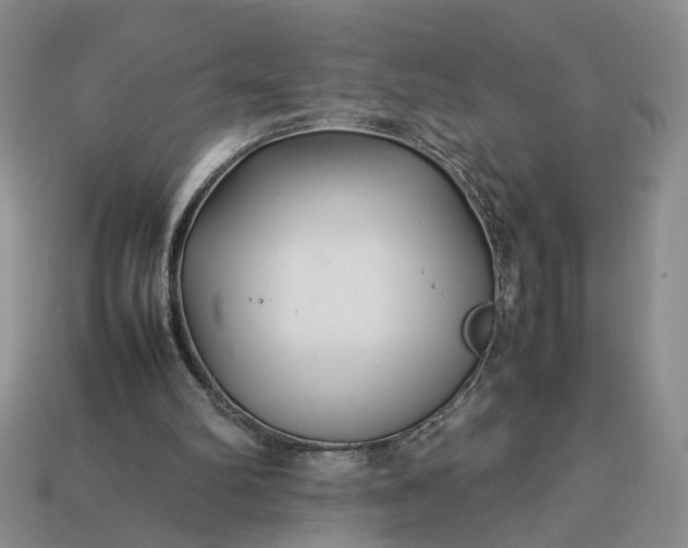 X0000113370102200909291059