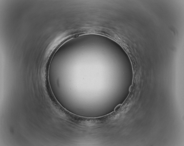 X0000113370103200909291059