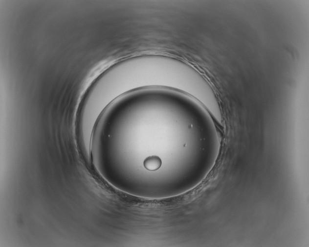 X0000113370104200909291059