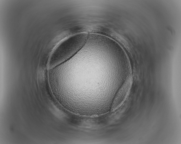 X0000113370105200909291059