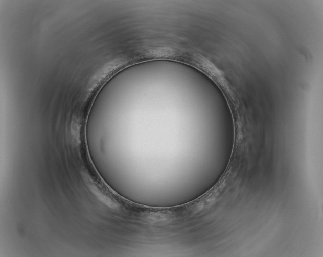 X0000113370106200909291059