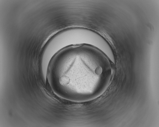 X0000113370108200909291059