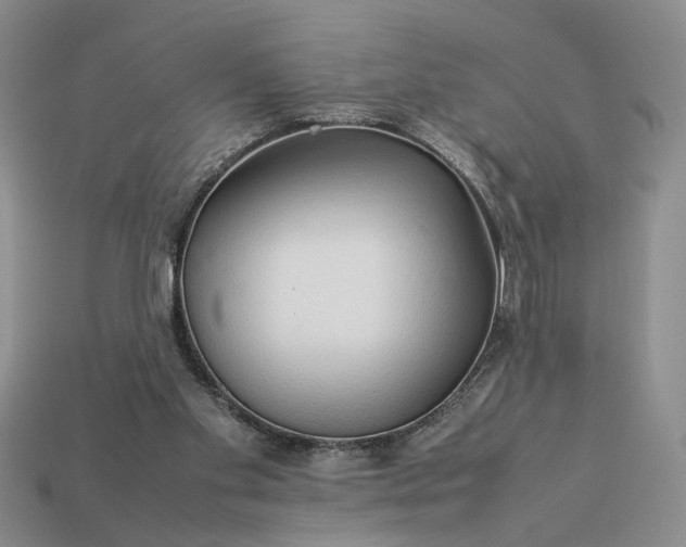 X0000113370109200909291059