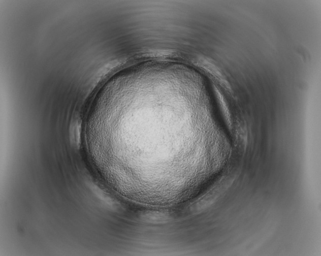 X0000113370110200909291059