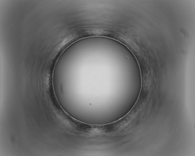 X0000113370111200909291059