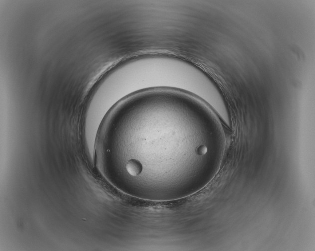 X0000113370112200909291059