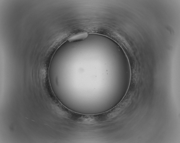 X0000113370113200909291059