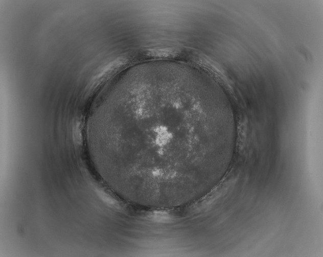 X0000113370114200909291059