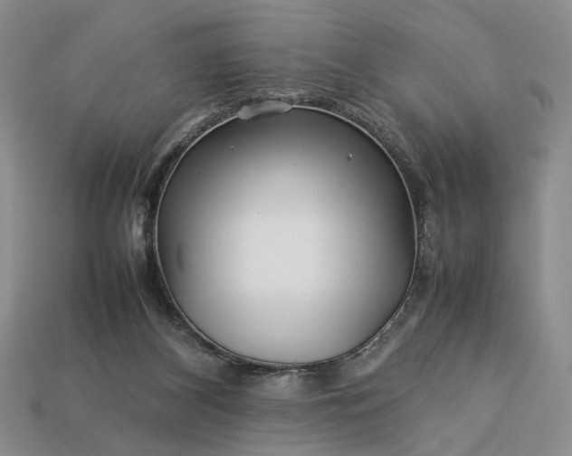 X0000113370116200909291059