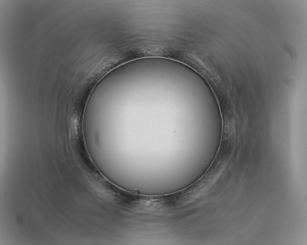 X0000113370117200909291059