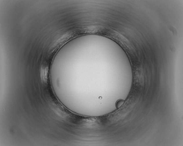 X0000113370118200909291059