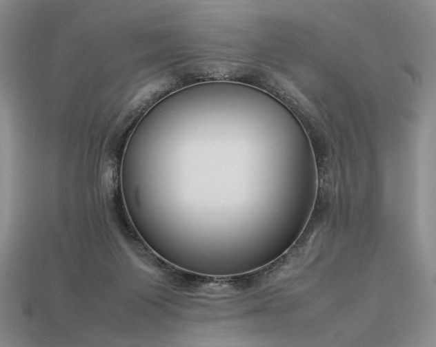 X0000113370119200909291059