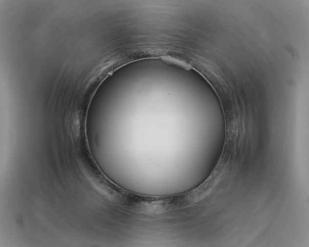 X0000113370120200909291059