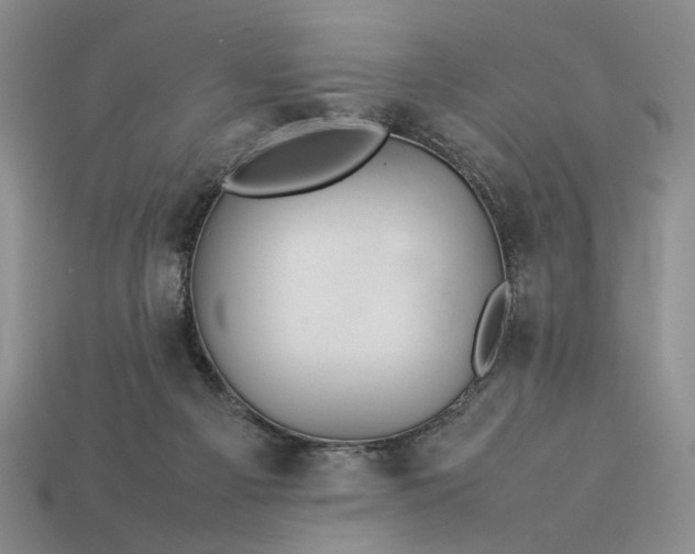 X0000113370121200909291059