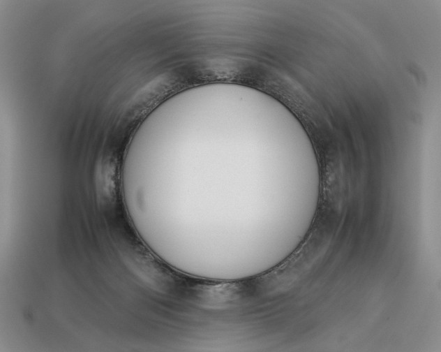 X0000113370122200909291059