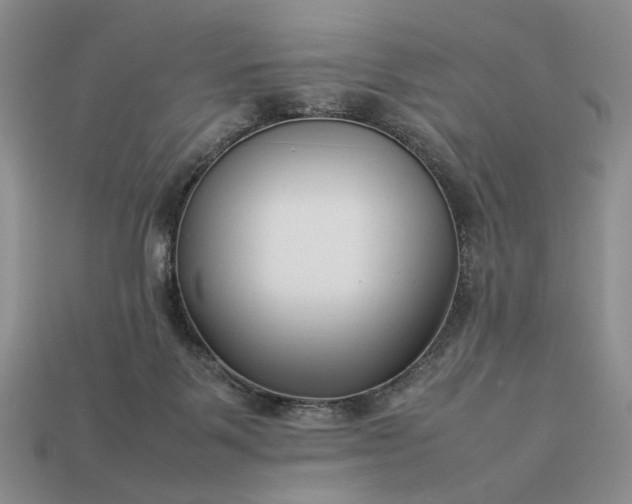 X0000113370123200909291059