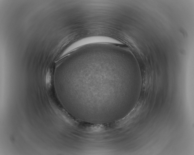 X0000113370124200909291059