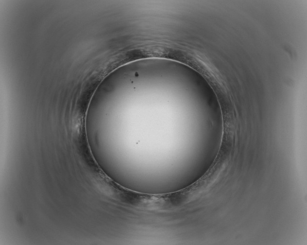 X0000113370125200909291059