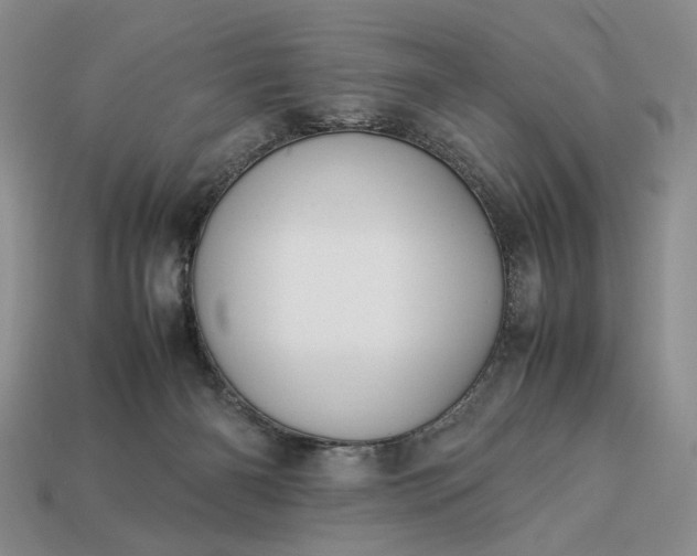 X0000113370126200909291059