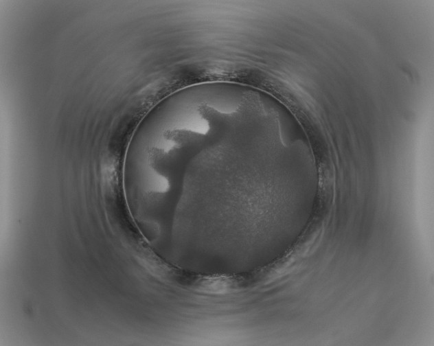 X0000113370127200909291059